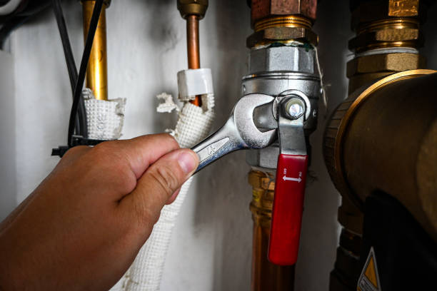 Best Water Leak Repair  in Trenton, MI